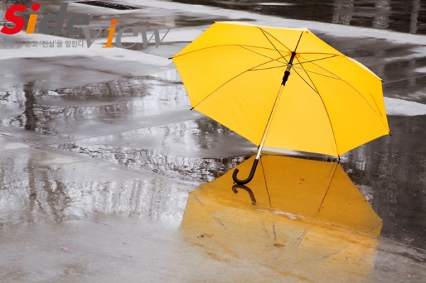출처 : 이미지투데이(비올 때 쓰는 우산)