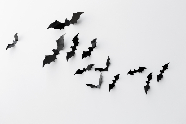 출처 : 이미지투데이 (박쥐의 시력은 낮지만 날개에 민감한 대응 세포와 촉각 회로로 인해 하늘을 자유롭게 날 수 있다.)