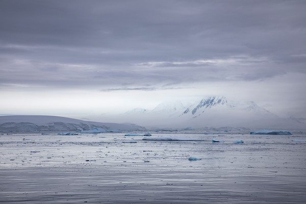 출처: 이미지투데이(남극 대륙의 온도가 지난해 18.3도로 역대 최고치를 달성했다)