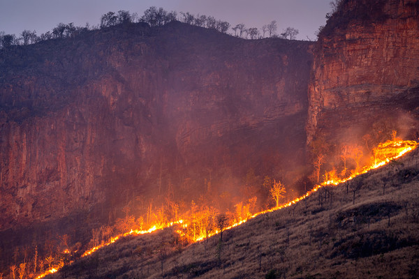 출처: 이미지투데이 – 기사와 무관한 사진 (브라질 중서부 산림지역에서 열흘째 산불이 이어져 지구온난화 우려도 커지고 있다.)